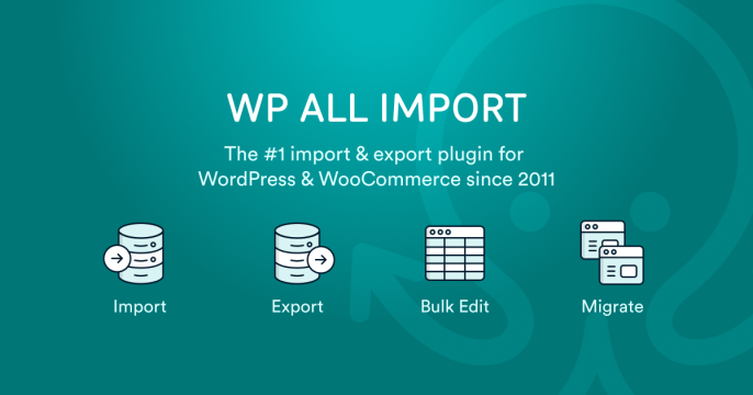 Main-WP-All-Import-Image.png