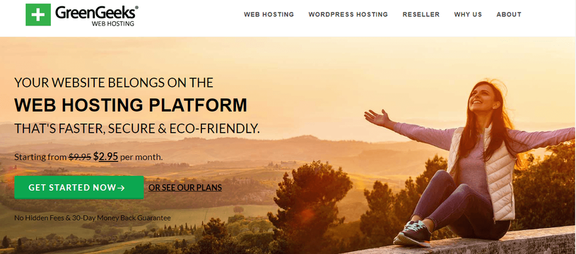 GreenGeeks Hosting Review