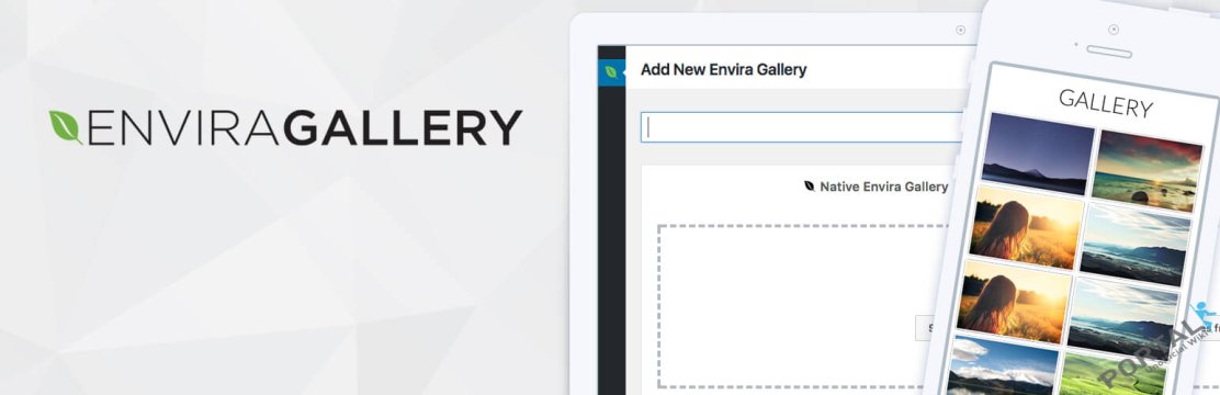 Envira Gallery Albums - WordPress Plugin