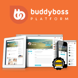 BuddyBoss Platform - Premium