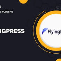 Flying Press - WordPress Plugin