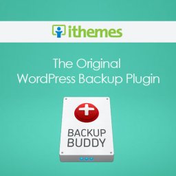 BackupBuddy - WordPress Plugin
