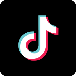 TikTok Feed - WordPress Plugin