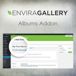 Envira Gallery Albums - WordPress Plugin