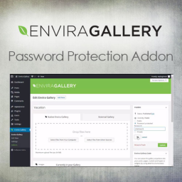 Envira Gallery Password Protection - WordPress Plugin