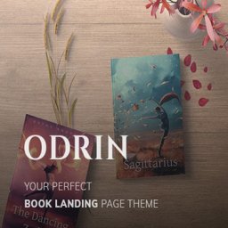 Odrin - WordPress Theme